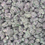 Presidential Runtz (Indoor Minis)