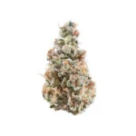 Alien Kush (Indoor Premium)
