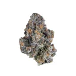 Bacio Gelato (Exclusive Collection)