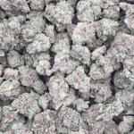 Blue Magoo (Light Dep Smalls)