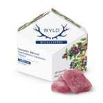 WYLD 100mg Gummies 10 pcs 10mg/pc