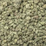 White Runtz (Light Dep Small)