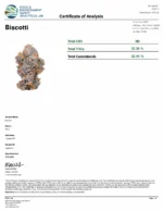 Biscotti (Exclusive Collection) - Image 3