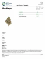 Blue Magoo (Light Deps) - Image 3