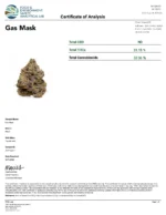 Gas Mask (Exclusive Collection) - Image 3