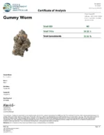 Gummy Worm (Exclusive Collection) - Image 3
