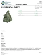 Presidential Runtz (Indoor Minis) - Image 3