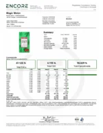 Stiiizy Disposable Vape 1G (All-in-One) - Image 12