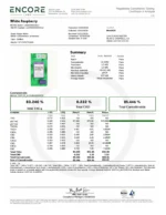 Stiiizy Disposable Vape 1G (All-in-One) - Image 14