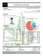 Blue Dream (Indoor Premium) - Image 4